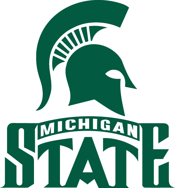 Michigan State Spartans 1987-Pres Alternate Logo iron on transfers for clothing